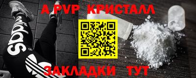 крисы Моздок