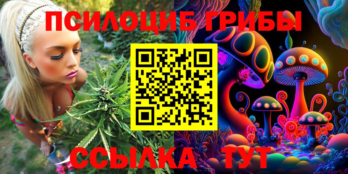 Псилоцибиновые грибы Psilocybine cubensis  Вход с VPN  Тимашёвск  Галлюциногенные грибы MAGIC MUSHROOMS 